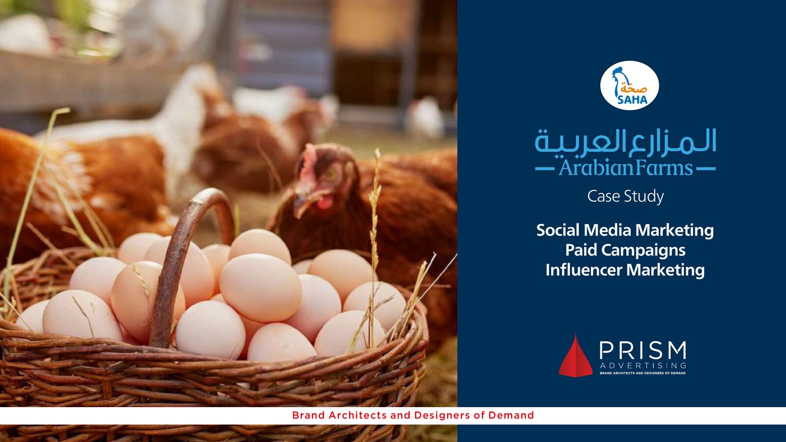 Arabian Farms, work by Prism Advertising for Arabian Farms